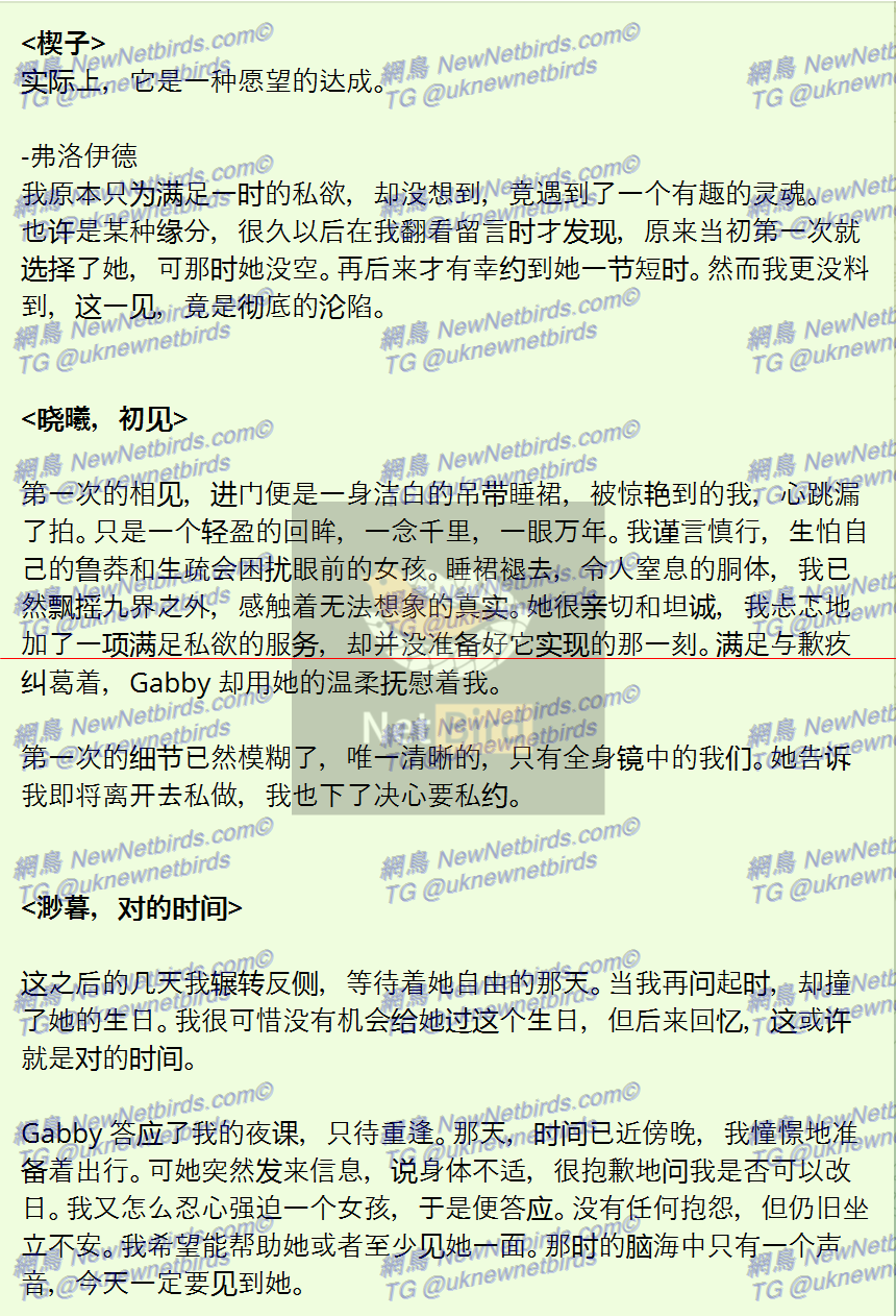 戰號 999 2.png